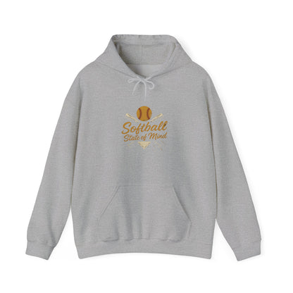 Softball Hoodie / Sweatshirt
